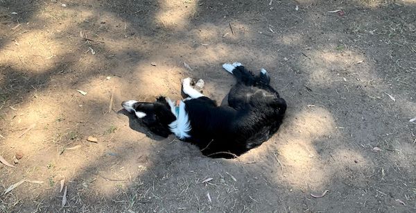 Nina acostada sobre un hoyo en el parque